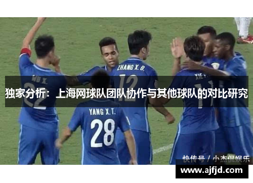 独家分析：上海网球队团队协作与其他球队的对比研究
